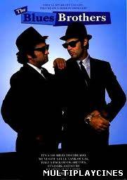 Ver Granujas a todo ritmo (1980) Online Gratis