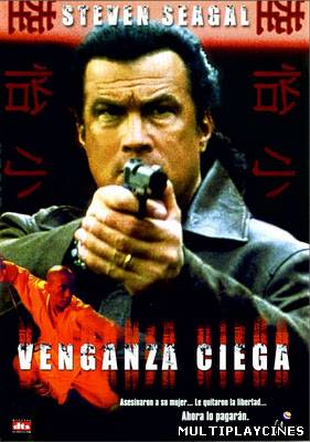 Ver Venganza ciega (2003) Online Gratis