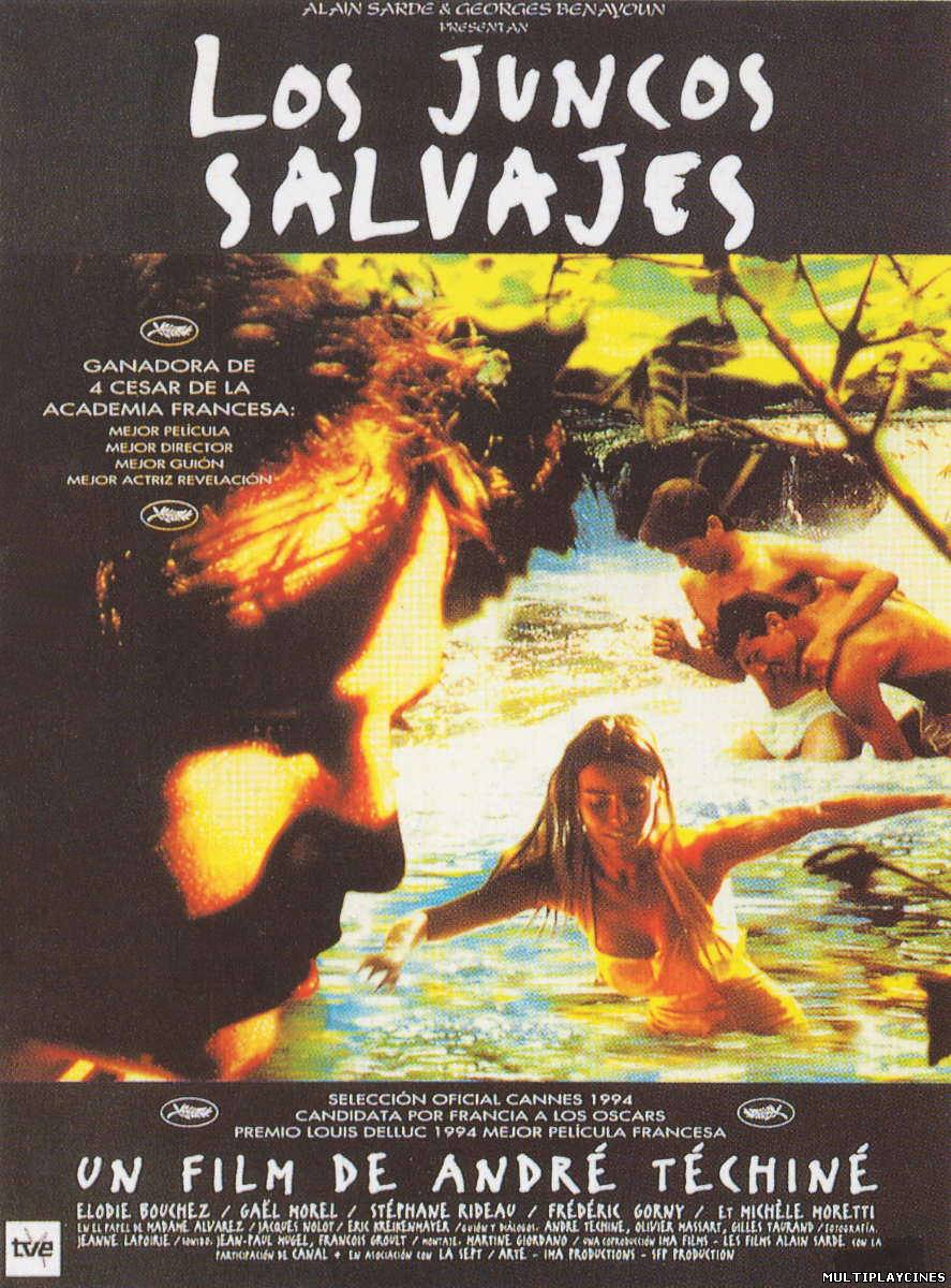 Ver Los juncos salvajes (1994) Online Gratis
