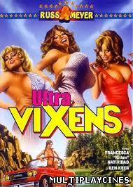 Ver Mas alla del valle de Las Ultravixens (1979) Online Gratis