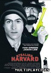 Ver Un diploma muy caro / Stelling harvard (2002) Online Gratis