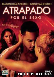 Ver Atrapado por el sexo (2004) Online Gratis