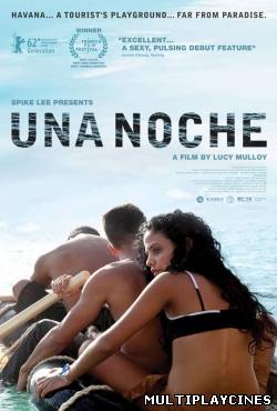 Ver Una noche (2012) Online Gratis
