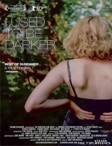 Ver I Used To Be Darker (2013) Online Gratis