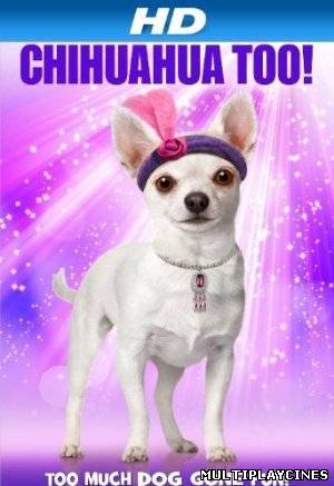 Ver Chihuahua Too! (2013) Online Gratis