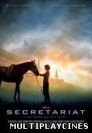 Ver Campeón Online Gratis