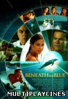 Ver Beneath the Blue Online Gratis
