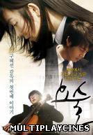 Ver Magic (2010) Online Gratis