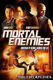 Ver Mortal Enemies (2011) Online Gratis