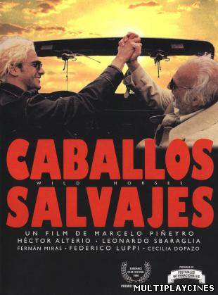 Ver Caballos salvajes (2009) Online Gratis