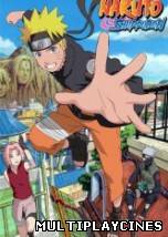 Ver Naruto Shippuden 352 (2014) Online Gratis