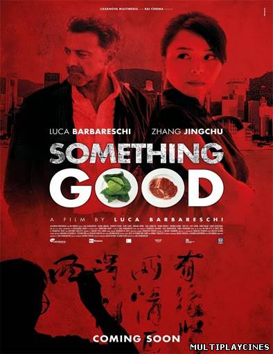 Ver Something Good: The Mercury Factor (2013) Online Gratis