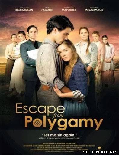 Ver La Cuarta Esposa (Escape from Polygamy) (2013) Online Gratis