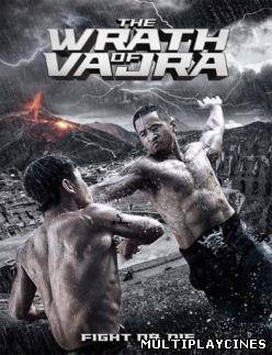 Ver The Wrath Of Vajra (2013) Online Gratis