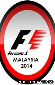 Ver Fórmula 1 (2014) – GP Malaysia Online Gratis