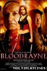 Ver Bloodrayne (2006) Online Gratis