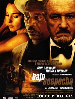 Ver Bajo sospecha / Under Suspicion (2000) Online Gratis