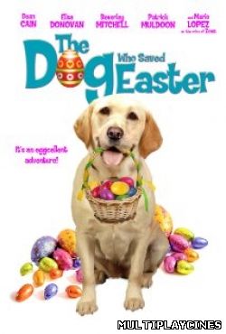 Ver The Dog Who Saved Easter (2014) Online Gratis