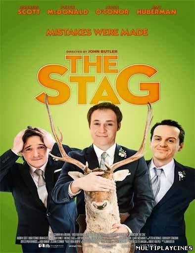 Ver The Stag (2013) Online Gratis
