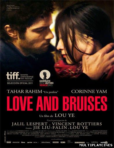 Ver Love and Bruises (2011) Online Gratis