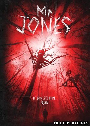 Ver Mr. Jones ( 2013 ) Online Gratis