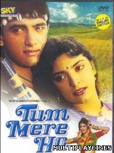 Ver Tum Mere Ho (1990) Online Gratis