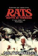 Ver Año 225, después del holocausto Online Gratis