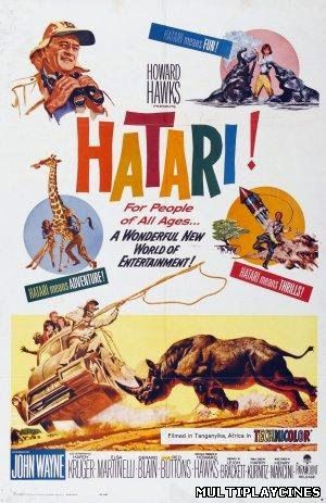 Ver Hatari / Hatari! (1962) Online Gratis