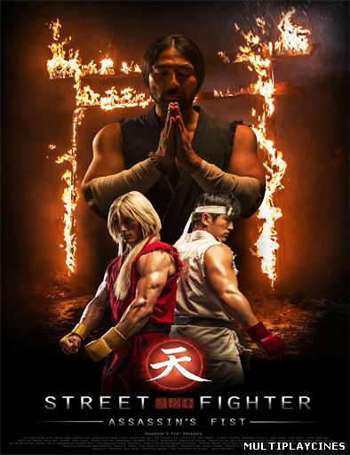 Ver Street Fighter: Assassin’s Fist (2014) Online Gratis