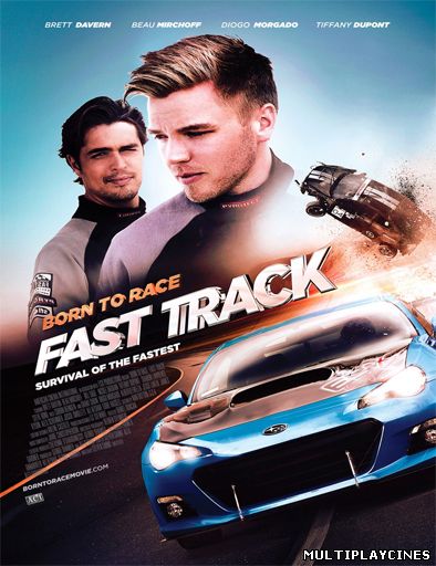 Ver Born to Race: Fast Track : Máxima velocidad (2013) Online Gratis