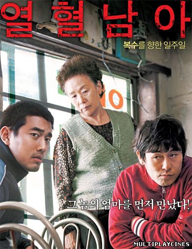 Ver Cruel Winter Blues (Yeolhyeol-nama) (2006) Online Gratis