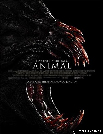 Ver Animal (2014) Online Gratis