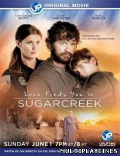 Ver Love Finds You in Sugarcreek, Ohio (2014) Online Gratis