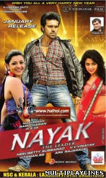 Ver Naayak (2013) Online Gratis