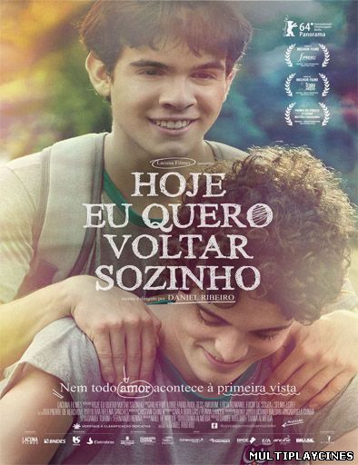 Ver Hoje Eu Quero Voltar Sozinho (2013) Online Gratis