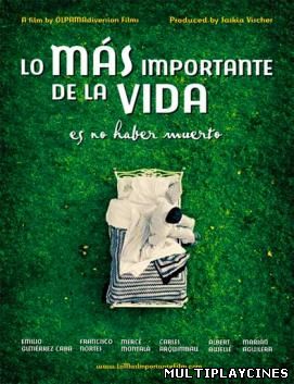 Ver Lo más importante de la vida es no haber muerto (2010) Online Gratis