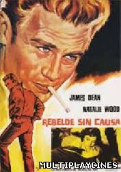 Ver Rebelde sin causa (1955) Online Gratis