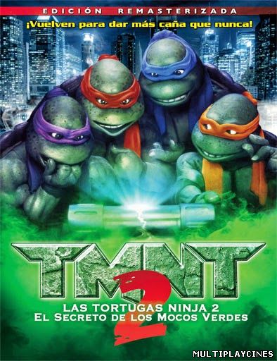 Ver Teenage Mutant Ninja Turtles 2 (1991) Online Gratis