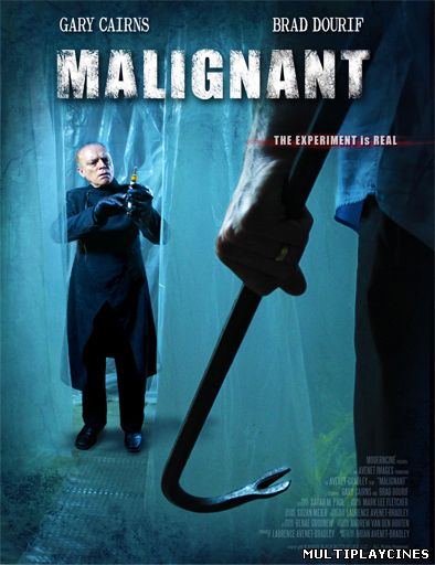 Ver Malignant (2013) Online Gratis