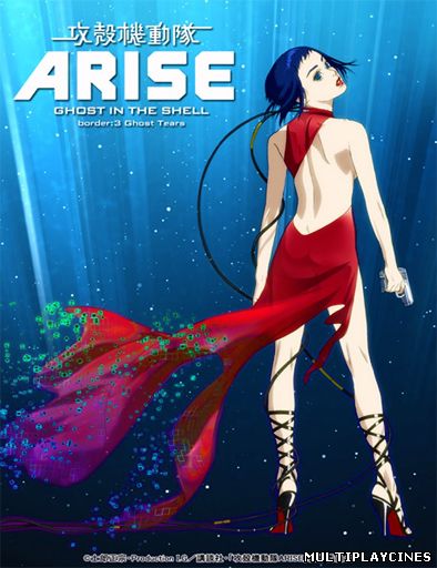 Ver Ghost in the Shell Arise: Border 3 – Ghost Tears (2014) Online Gratis