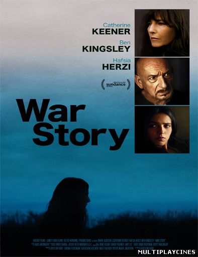 Ver War Story (2014) Online Gratis