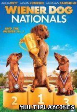 Ver Wiener Dog Nationals (2013) Online Gratis