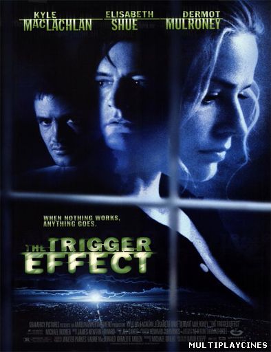 Ver The Trigger Effect (El efecto dominó) (1996) Online Gratis