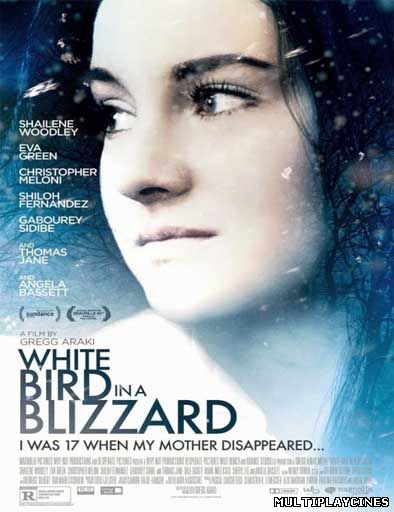 Ver Pájaro blanco de la tormenta de nieve (2014) Online Gratis