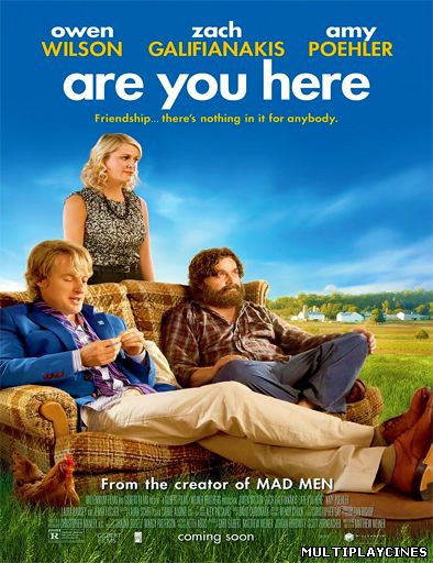 Ver Are You Here (2014) Online Gratis