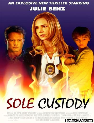 Ver Sole Custody (2014) Online Gratis