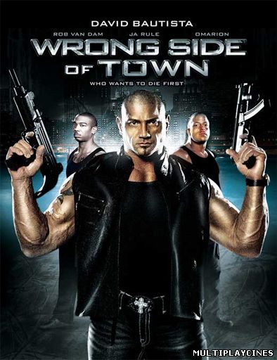 Ver Wrong Side of Town (2010) Online Gratis