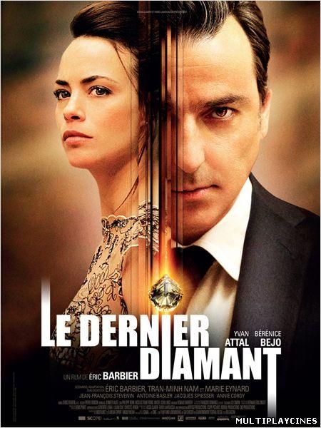 Ver Le dernier diamant (2014) Online Gratis