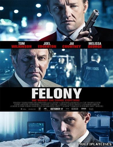 Ver Felony (2013) Online Gratis