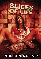 Ver Slices of life Online Gratis